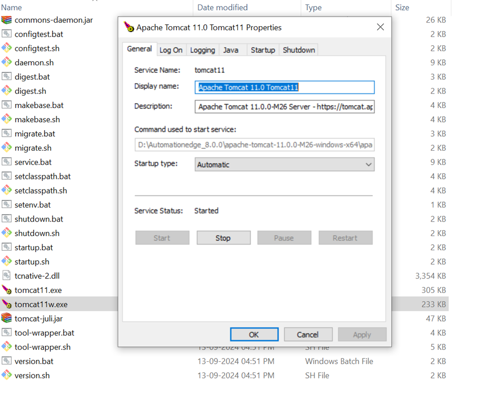 Apache Tomcat 11 Properties dialog