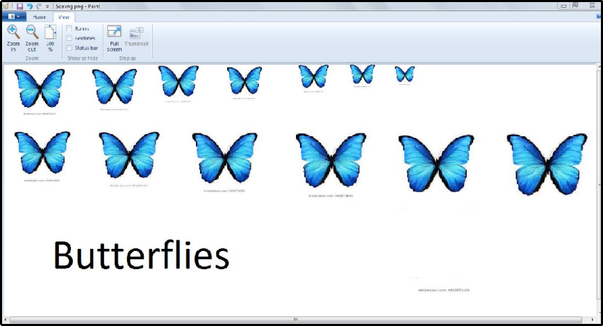 Paint document with images at varying sizes for pattern matching